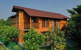 The Pine Loft Holiday Home Bangalore India
